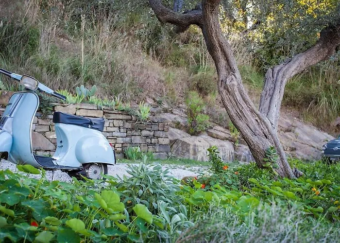 Tiny Loft Mit Grosser Terrasse - Cilentissimo-1km Zum